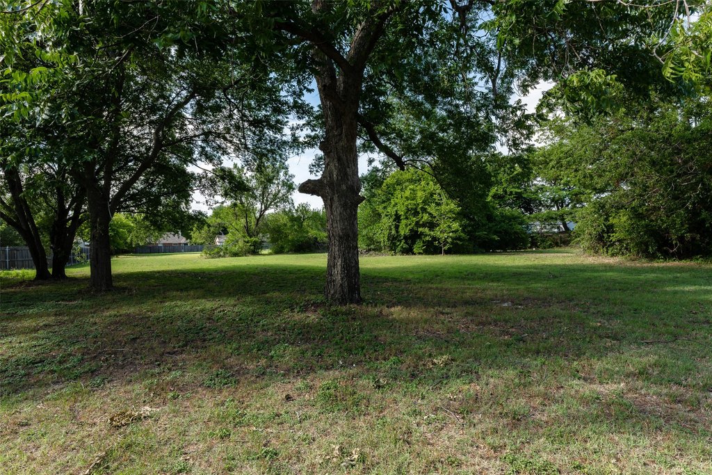 Picture 20