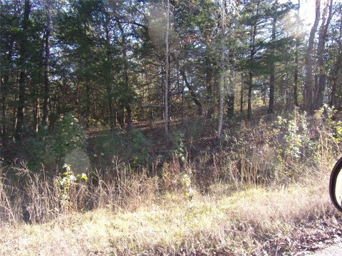 Heavily Wooded Lots Near Lake