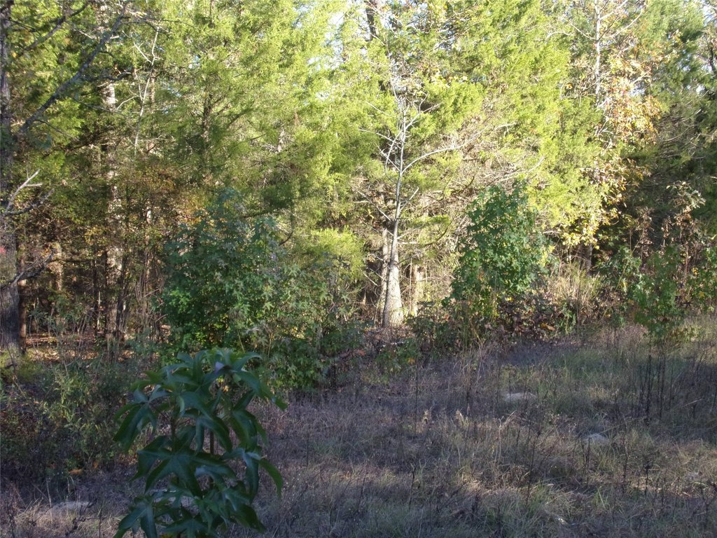 Picture 3
