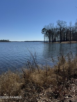 Land, Chatham, LA