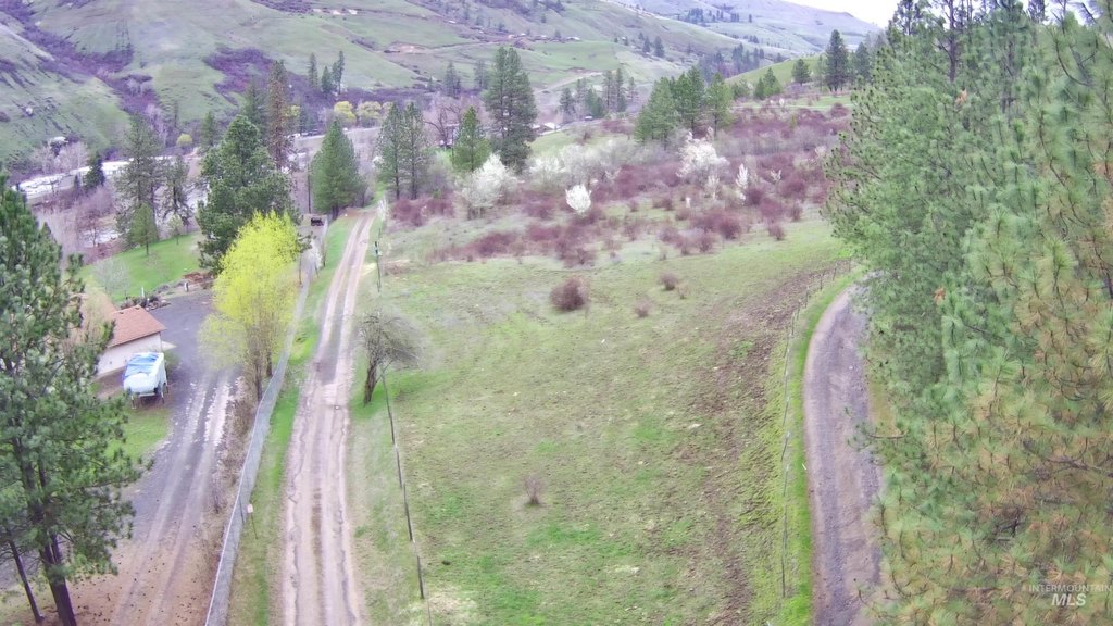 Picture 4