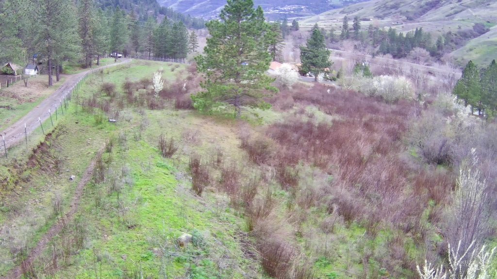 Picture 10