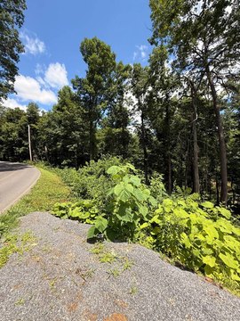 Land, Dandridge, TN