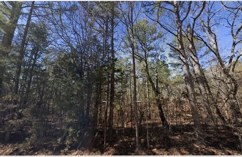 Land, Selmer, TN