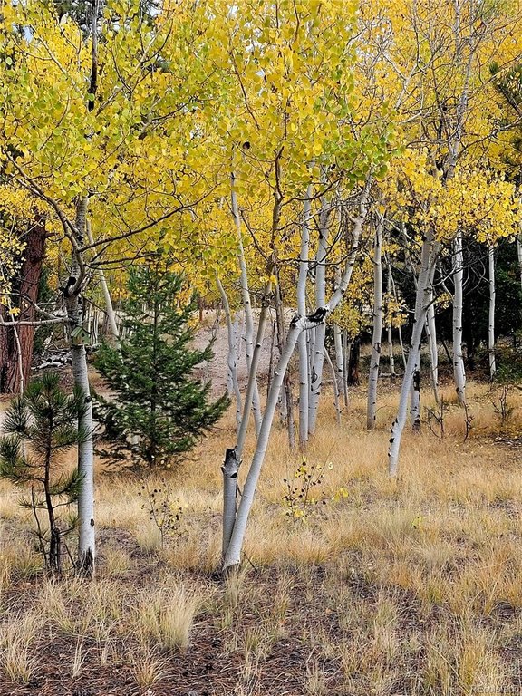 Picture 25