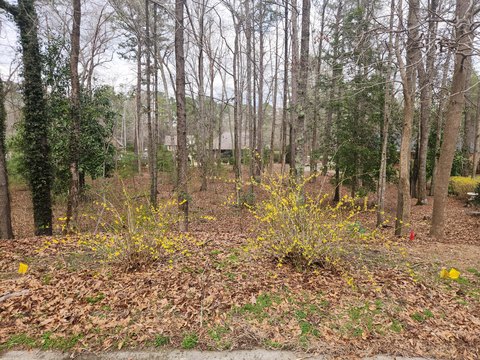 Residential Lot in Aiken, SC