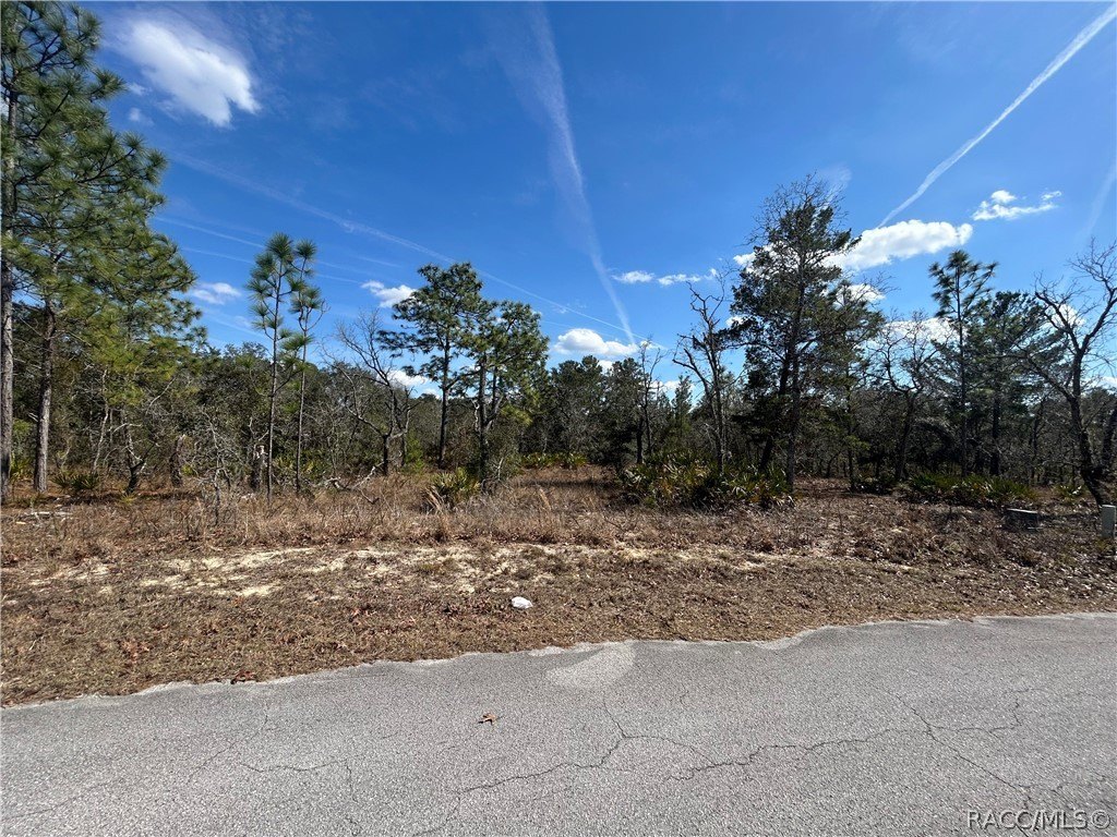Homosassa Land on Quiet Cul-de-Sac