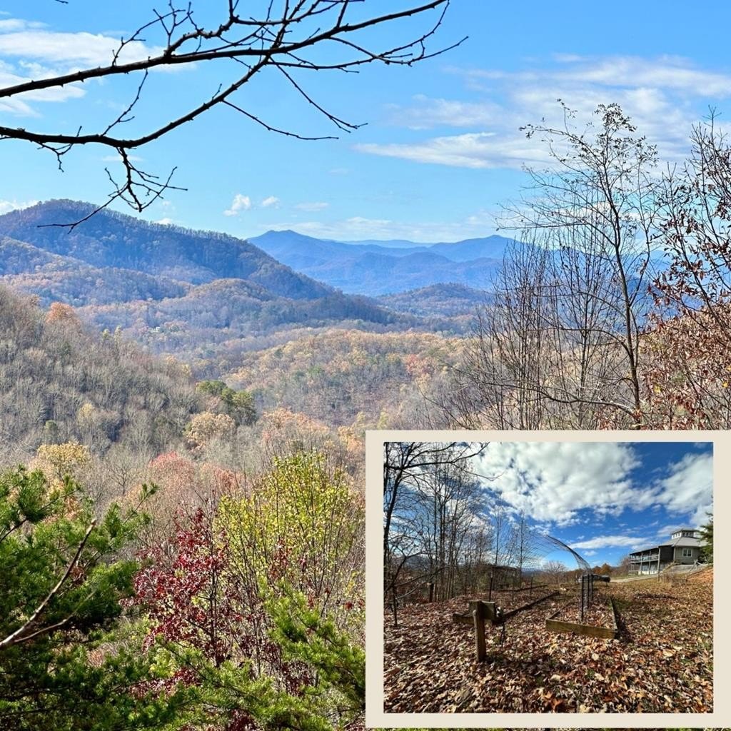 Land with Mountain Views