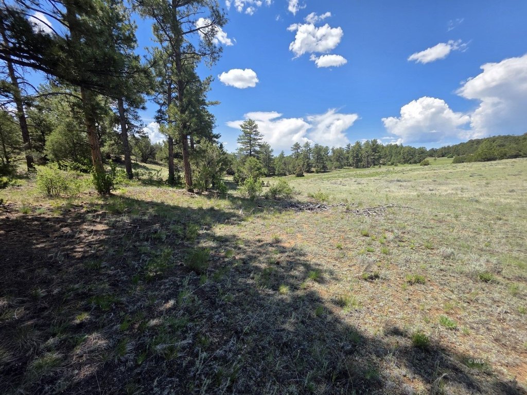 Picture 29