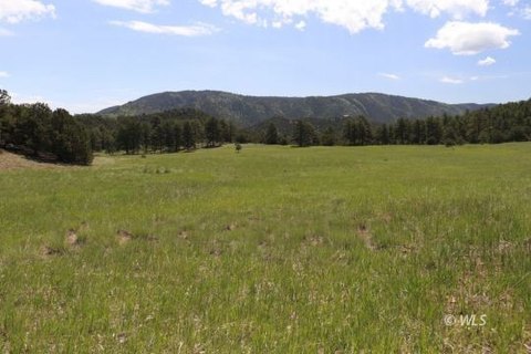 35-Acre Equestrian and Rural Retreat