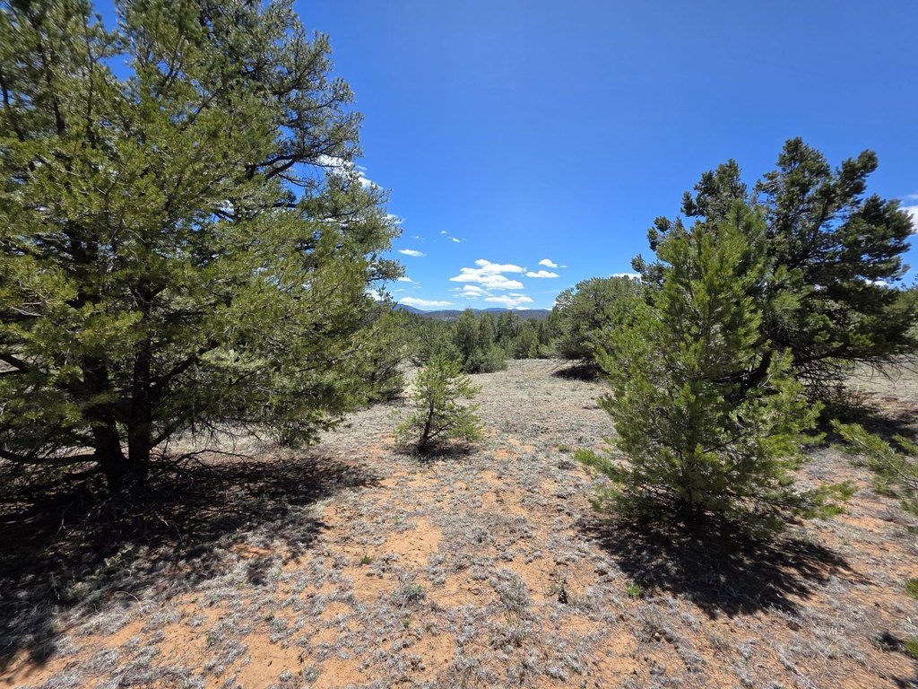 Picture 18