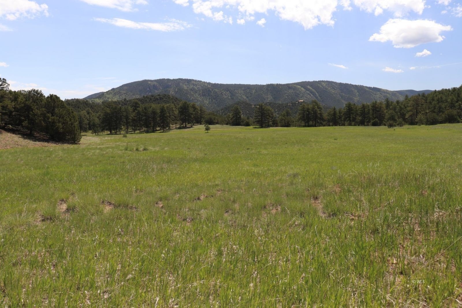 35-Acre Equestrian and Rural Retreat