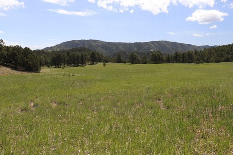 35-Acre Equestrian and Rural Retreat