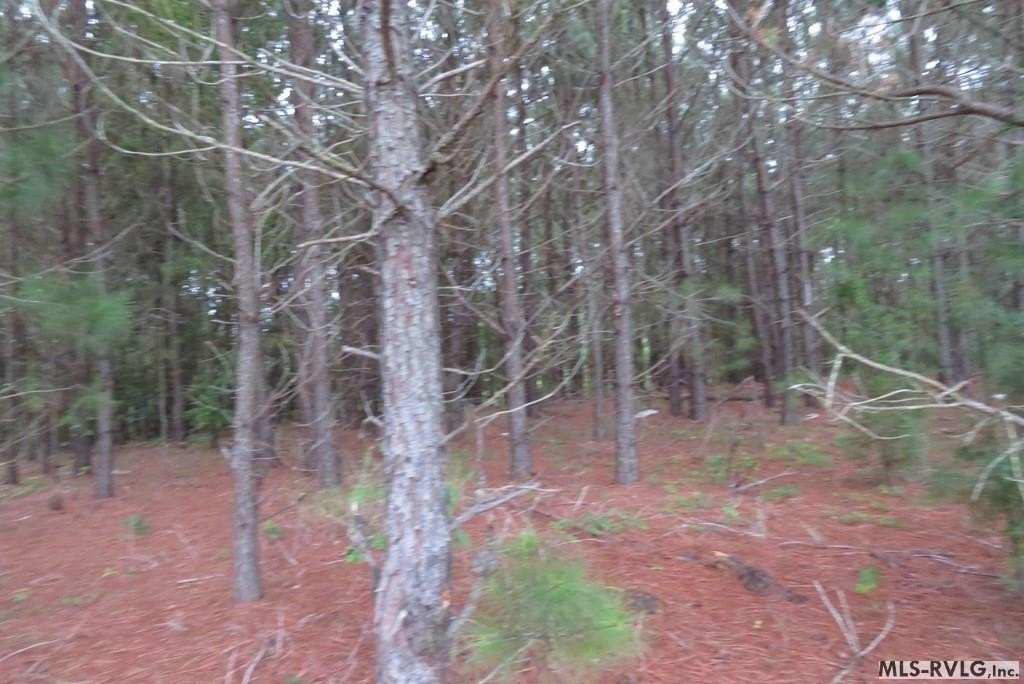 Picture 4