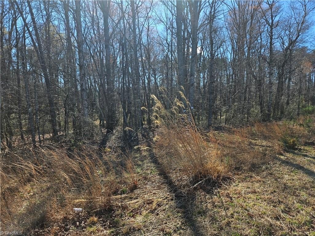 Picture 3
