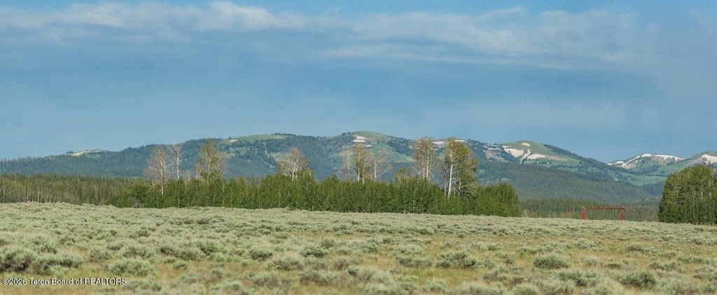 Picture 30