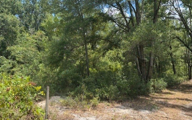 Wooded Acreage with No Restrictions
