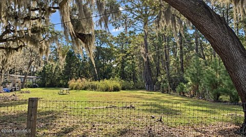 Land, Sapelo Island, GA