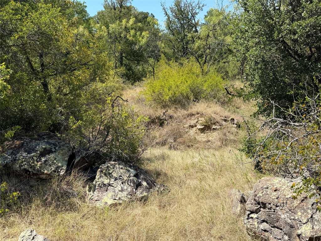 Picture 12