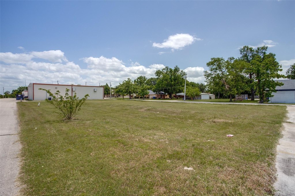 Picture 6