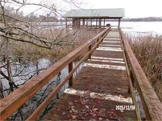 Land, Donalsonville, GA