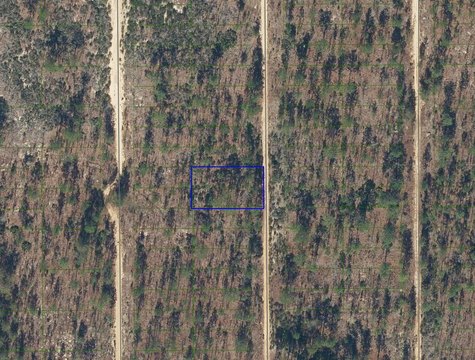LAND - Interlachen, FL