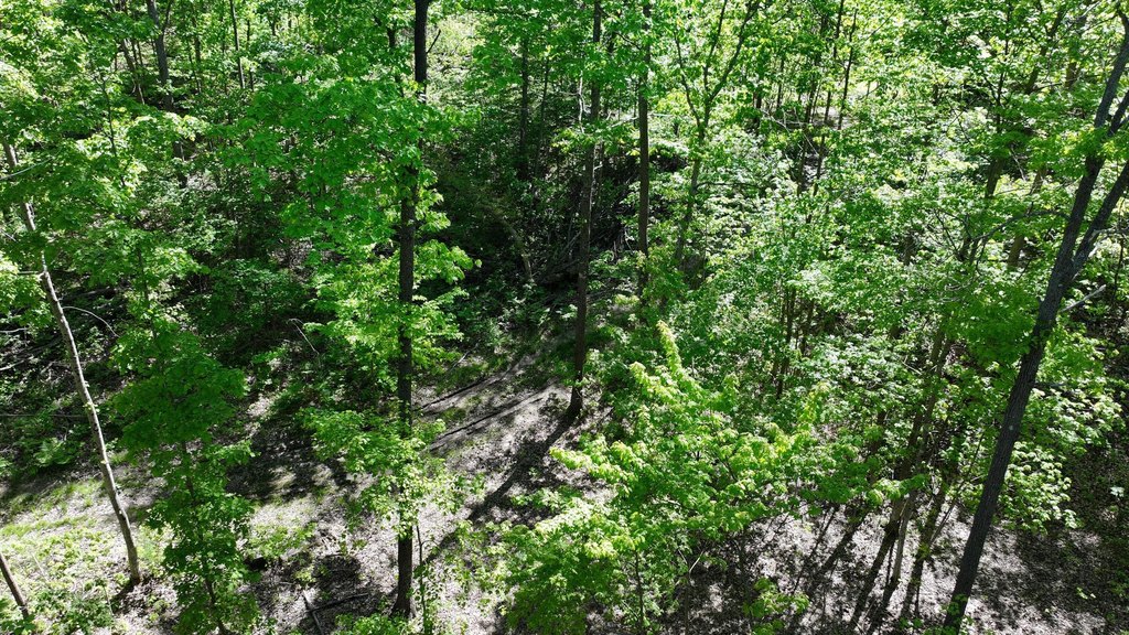 Picture 12