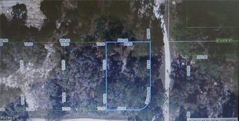 LAND - Lake Placid, FL
