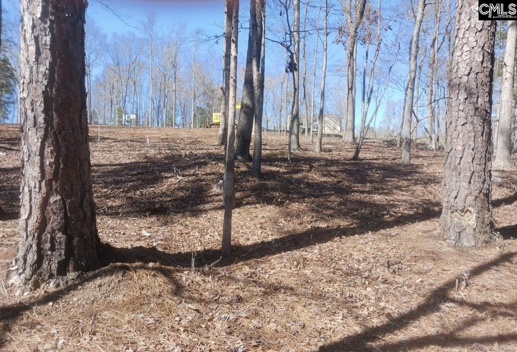 Picture 7