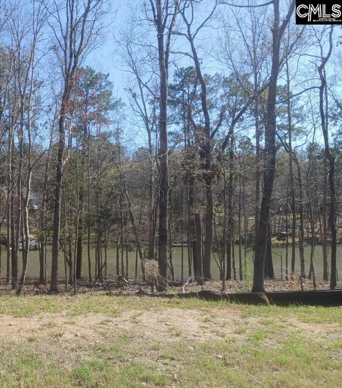 Picture 9