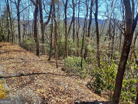 Land, Scaly Mtn, NC