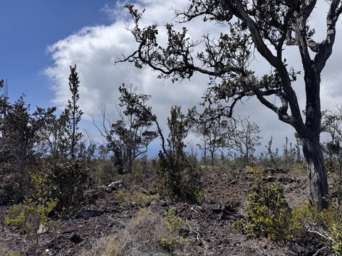 Land in Ocean View, HI
