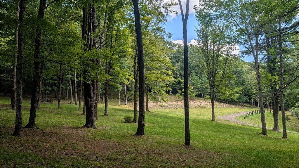 Picture 16