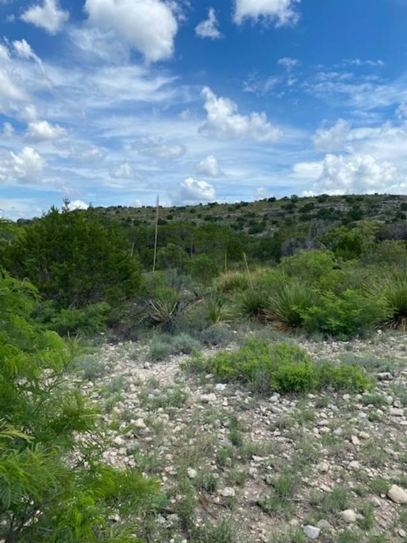 Picture 11