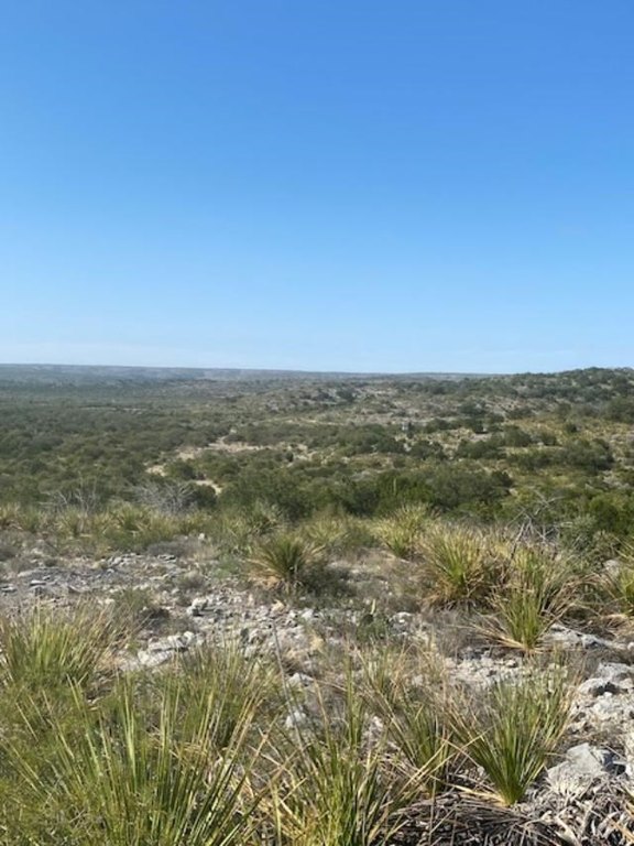 Picture 41