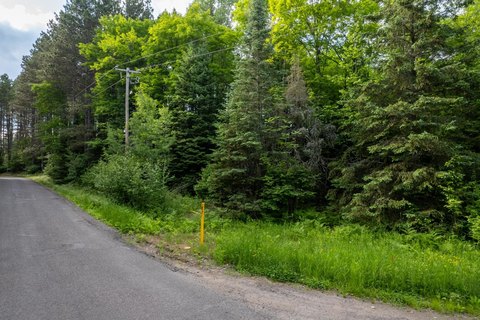 Presque Isle Wooded Lot