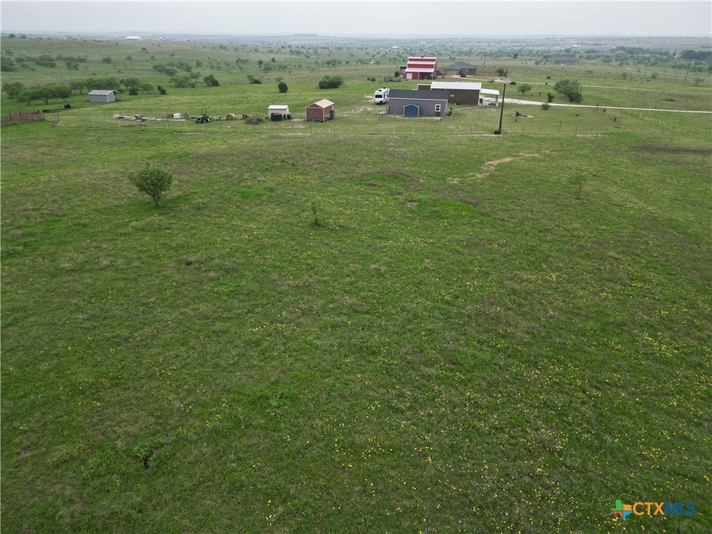 Picture 10