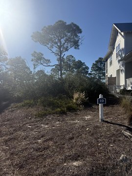 Land, Cape San Blas, FL