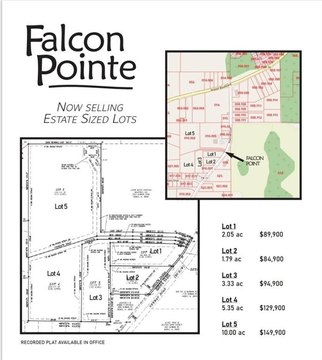 Residential Lot in Falcon Pointe