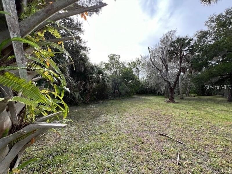 Picture 9