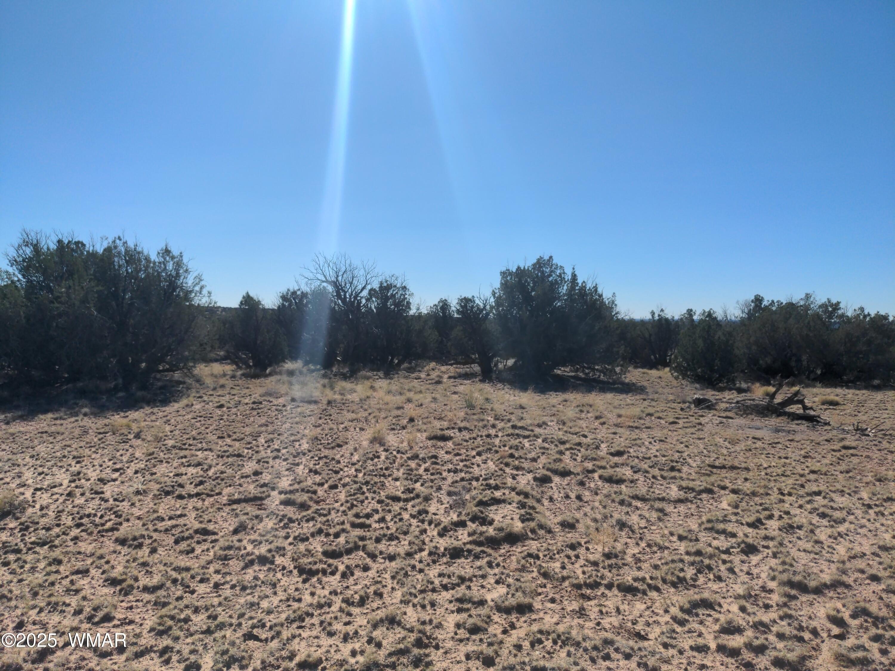 Land in St. Johns, AZ