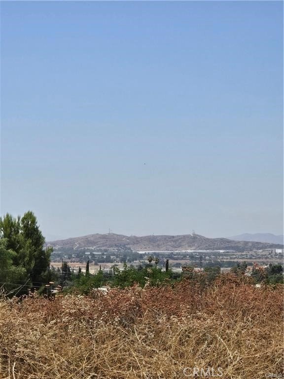 Picture 3
