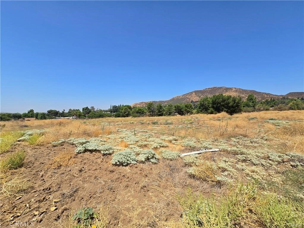 Picture 9