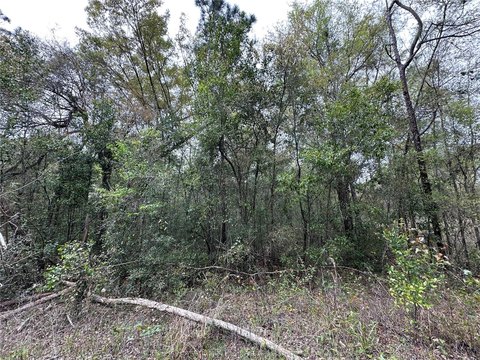 Residential Buildable Lot