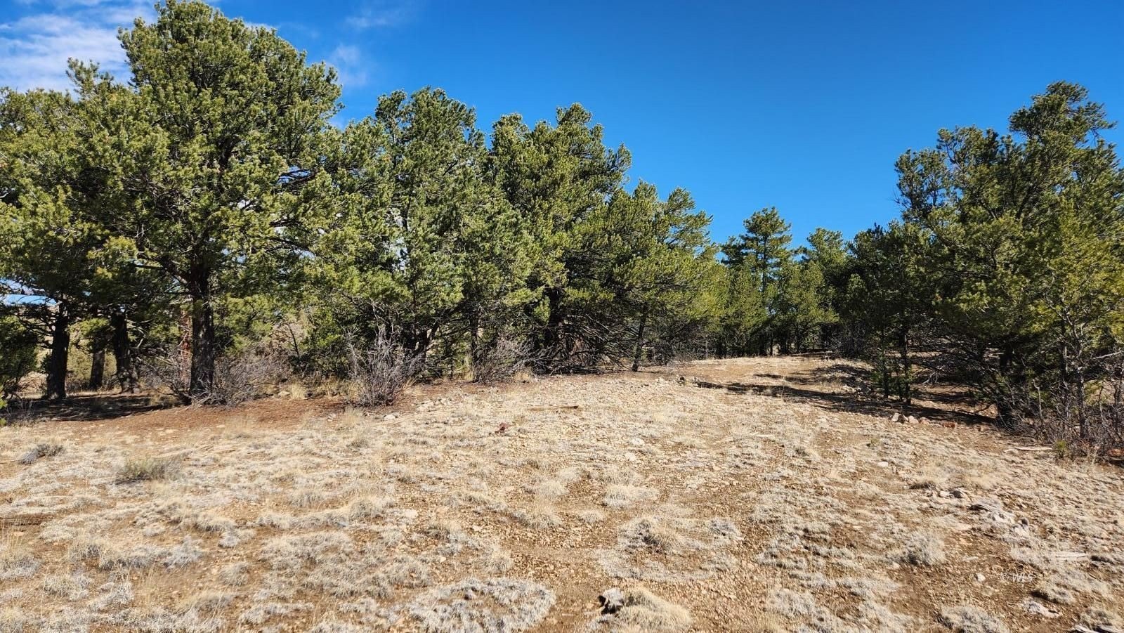 Mountain Escape Land For Sale