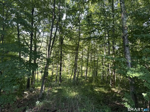 Lots and Land For Sale, Sherman, CT
