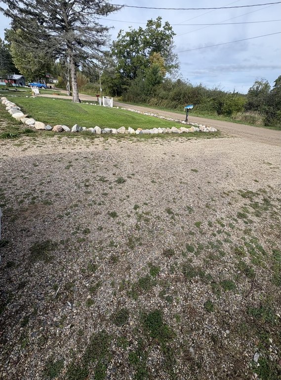 Picture 12