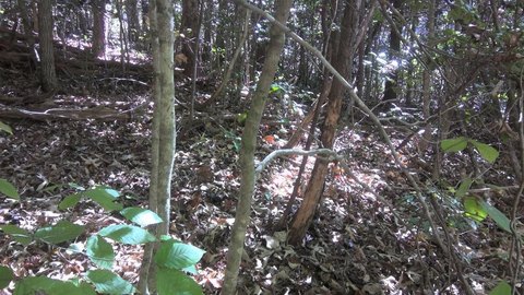 Whittier, NC Land For Sale