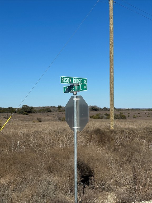 Picture 3