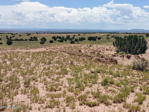 LAND - Concho, AZ